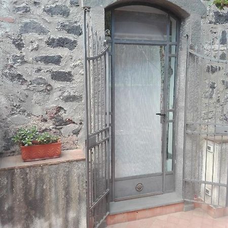 Bouganville Catania Luaran gambar